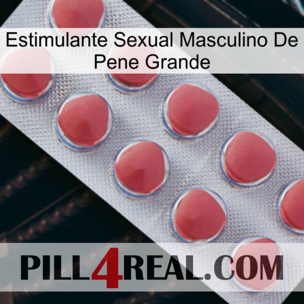 Big Penis Male Sexual Stimulant 18.jpg